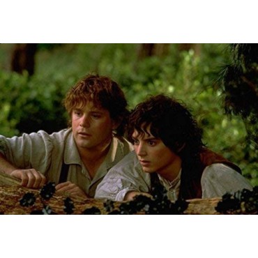 Trilogía El Señor De Los Anillos Extendida [DVD]