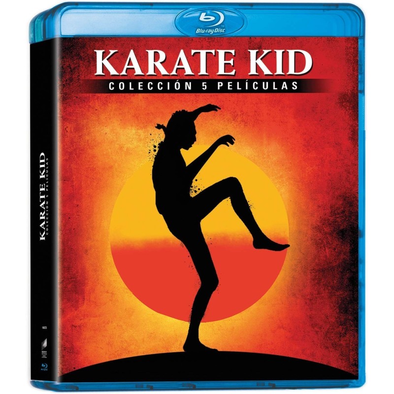 Karate Kid, el Momento de la Verdad + Karate Kid II: la Historia Continúa + Karate Kid III: el Desafío Final + el Nuevo Karate K