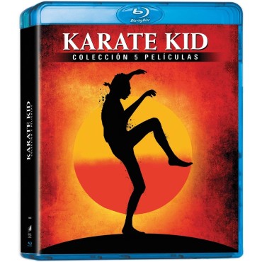 Karate Kid, el Momento de la Verdad + Karate Kid II: la Historia Continúa + Karate Kid III: el Desafío Final + el Nuevo Karate K