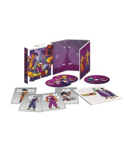 Dragon Ball Super: Super Hero (Edición Digipack, 4K UHD película, Blu-ray película, DVD extras) [4K UHD,Blu-ray] (2022) Doragon 