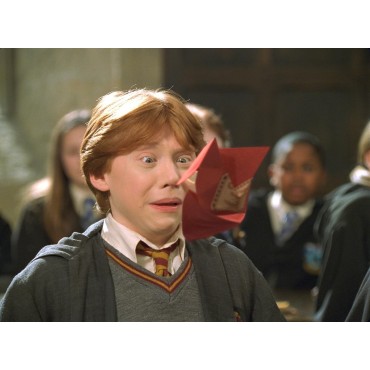 Harry Potter und die Kammer des Schreckens [Deutschland] [DVD] (2002) Harry Potter and the Chamber of Secrets