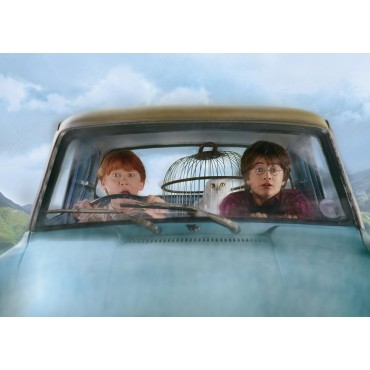 Harry Potter und die Kammer des Schreckens [Deutschland] [DVD] (2002) Harry Potter and the Chamber of Secrets