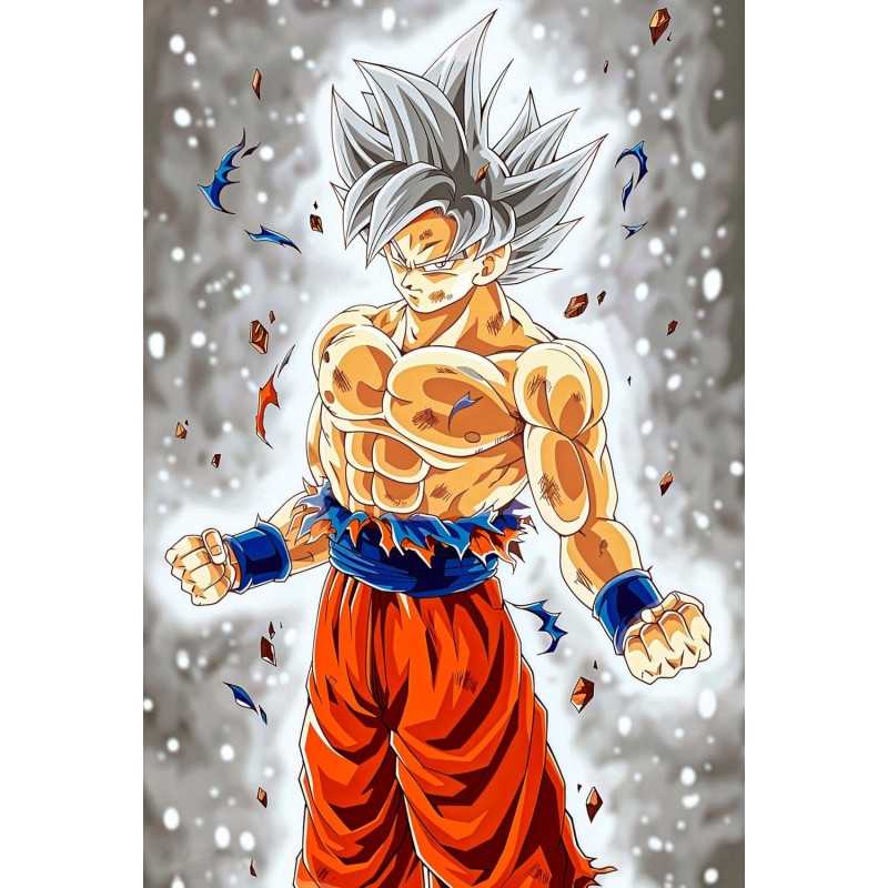 Placa Decorativa Goku Ultra Instinto Metálica Cuadro Póster HD