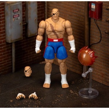Figura Sagat Street Fighter II The Final Challengers Articulada 19 cms