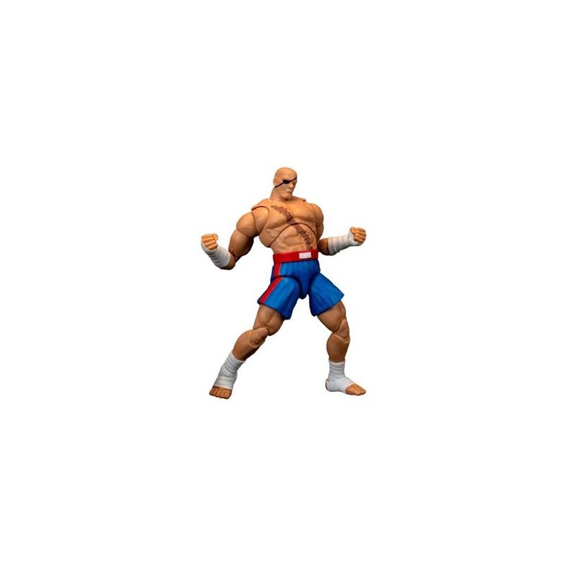 Figura Sagat Street Fighter II The Final Challengers Articulada 19 cms