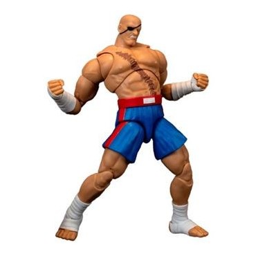 Figura Sagat Street Fighter II The Final Challengers Articulada 19 cms
