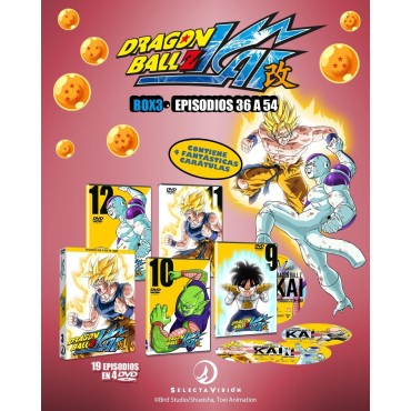 Dragon Ball Z Kai (BOX 3, Episodios 36 a 54) [DVD] (2009)
