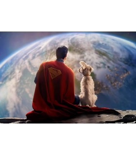 Placa Decorativa Superman & Krypto DC Metálica Cuadro Póster HD