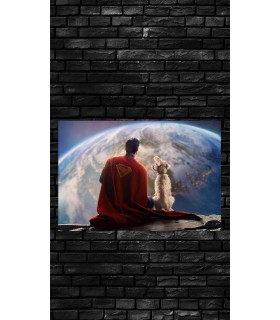 Placa Decorativa Superman & Krypto DC Metálica Cuadro Póster HD