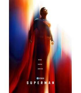 Placa Decorativa Superman DC Metálica Cuadro Póster HD