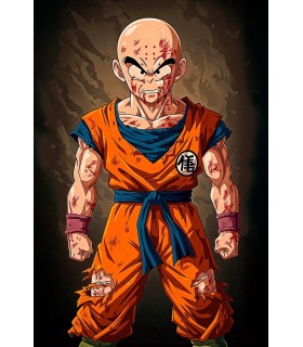 Placa Decorativa Krilin Metálica Cuadro Póster HD
