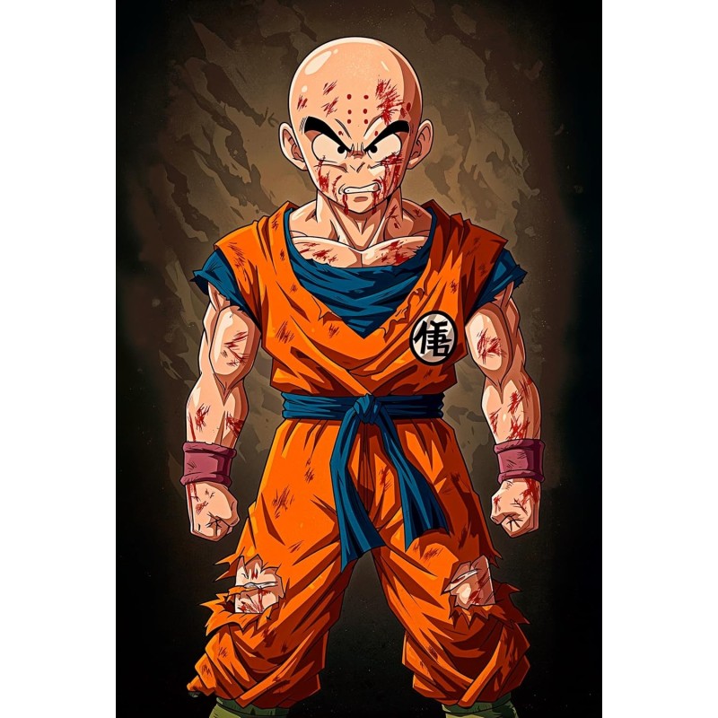 Placa Decorativa Krilin Metálica Cuadro Póster HD