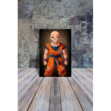 Placa Decorativa Krilin Metálica Cuadro Póster HD