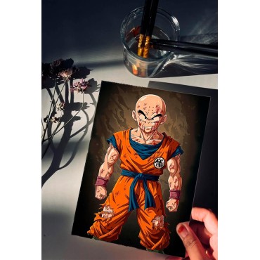 Placa Decorativa Krilin Metálica Cuadro Póster HD