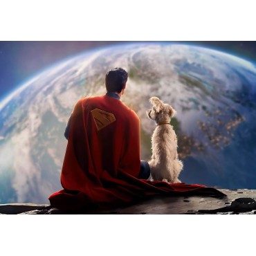 Placa Decorativa Superman & Krypto DC Metálica Cuadro Póster HD