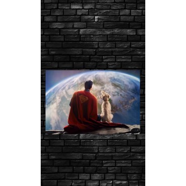 Placa Decorativa Superman & Krypto DC Metálica Cuadro Póster HD