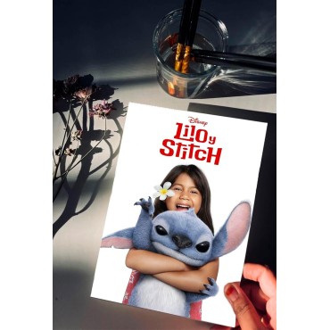 Placa Decorativa Lilo & Stitch Disney Metálica Cuadro Póster HD