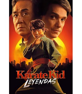 Placa Decorativa Karate Kid Leyendas Metálica Cuadro Póster HD