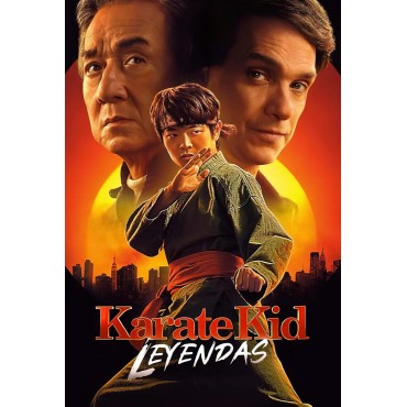Placa Decorativa Karate Kid Leyendas Metálica Cuadro Póster HD