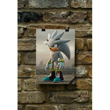 Placa Decorativa Silver Sonic Metálica Cuadro Póster HD
